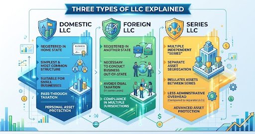 comparison of domestic foreign and series LLC structures